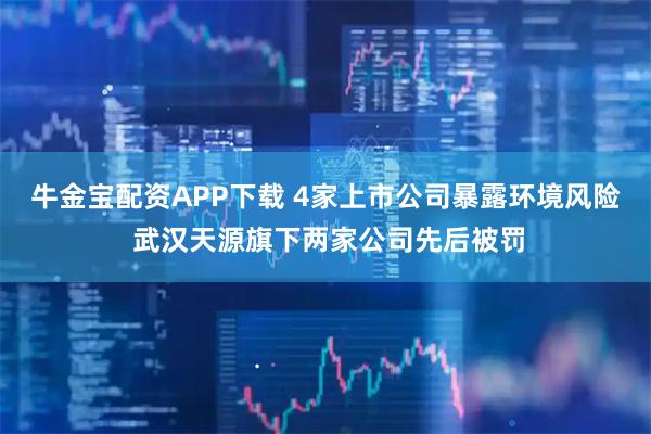 牛金宝配资APP下载 4家上市公司暴露环境风险 武汉天源旗下两家公司先后被罚